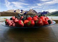 Mat, Jordbær og bjørnebær, Foto: Tellusworks