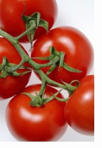Mat: Tomater. Foto: Jan Djenner, Samfoto