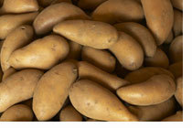 Plantevern. Poteter. Foto: Bård Løken, Samfoto.