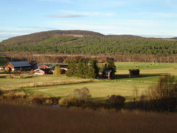 Storteigen, Foto: FMLA Hedmark