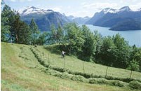Fjord, Foto: FM Møre og Romsdal