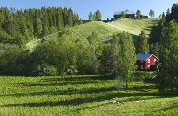 Ravinelandskap i Enebakk, Foto: Ove Bergersen