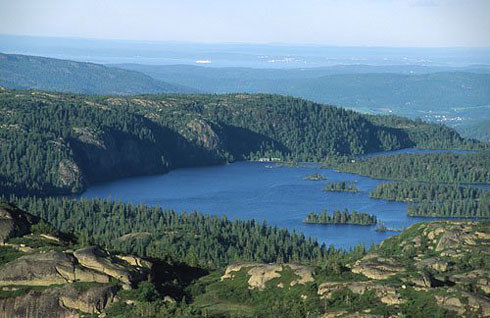 Tom Schandy /NN/ Samfoto