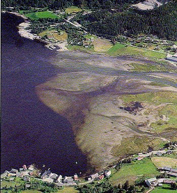 Todalselvas utløp i Vinjefjorden (Todal)
