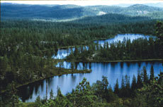 Trillemarka. Foto Bård Bredesen