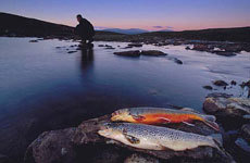 Fiske i Stabbursdalen