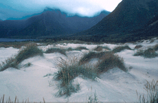 Sand dunes in Morfjorden nature reserve