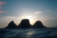 Trenykan in Nykan nature reserve in the municipality of Røst.. Photo: Gunnar Rofstad.