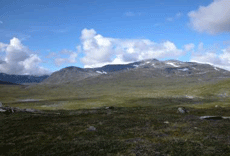 Børgefjell. Foto: Bjørn Godal