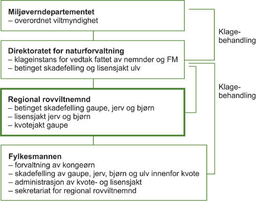 Organisering av ansvar