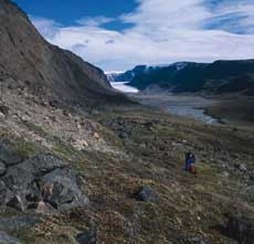 Flatøyrdalen. Foto: Arve Elvebakk.