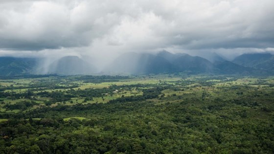 Flyfoto fra regnskog i Colombia