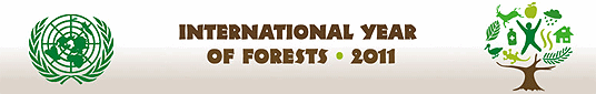 International year of forests 2011 logo