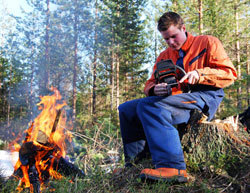 Aktivt skogbruk. Foto: Jens Arild Kroken