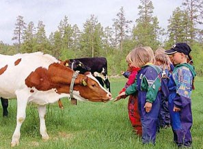 Barn og kyr, Øvre Stengelsen gård i Alta. Foto: Ingrid Steinsvik