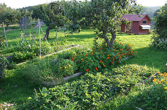 Bjørnestø gårdstrun