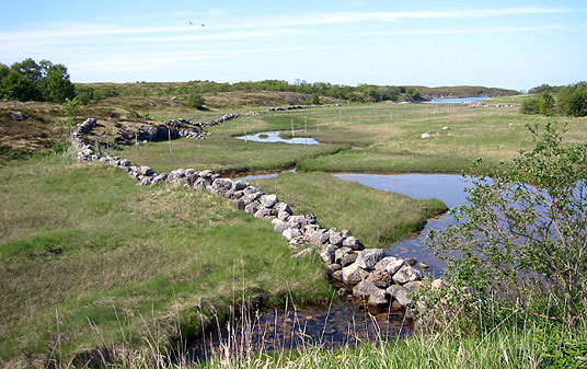 Blomsøya steinutgard