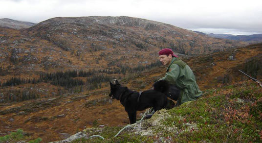 Børgefjell. Foto: Verneprosjektet