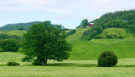 Borten gård. Foto: FMLA i Sør-Trøndelag