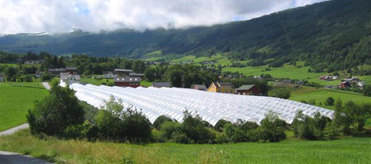Bringebærtunell i Vik. Foto: Torbjørn Takle