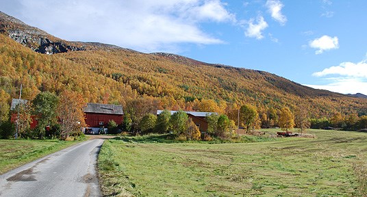 Bare 0,2 % av arealet i Finnmark er dyrka jord, noe som stiller krav til god arealforvaltning. Foto: FMLA