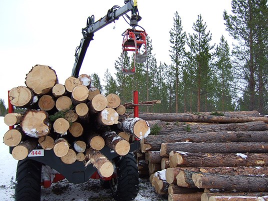 Tømmer fra Pasvik blir videreforedlet blant annet til villmarkspanel. Foto: Helge Molvig
