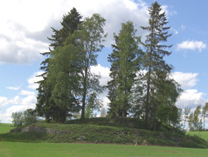 Gravhaug på gården Røhne Nedre i Stange. Foto: Karoline Finstad Vold