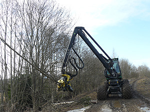 Kulturlandskapspleie og bioenergi i Stange. Foto: Eiliv Sandberg