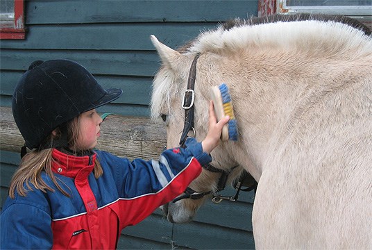 Barn strigler hest. Foto: Fylkesmannen i Hordaland