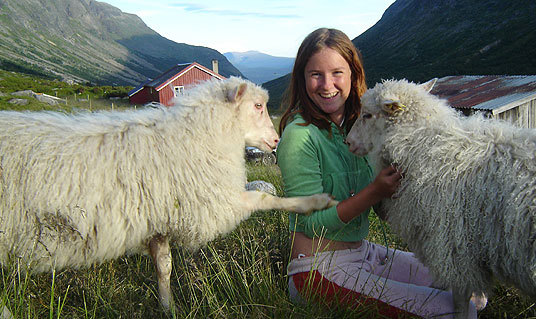 Landbruk: Jente og sau på stølen.