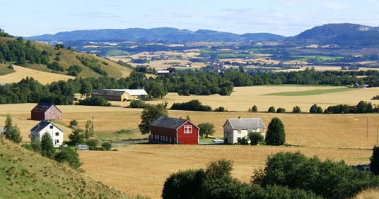 Jordbrukslandskap i Trondheimsregionen, Melhus. Foto: Vigleik Stusdal