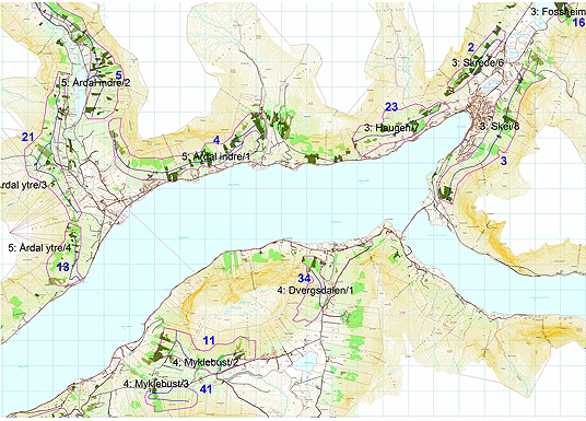 Kartutsnitt over hovudplan for skogsvegar i deler av Jølster kommune