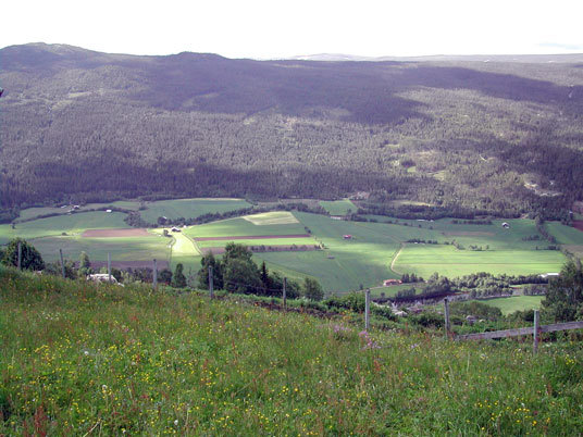 Uvdal. Foto: Fylkesmannen i Buskerud