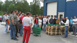 Lædal grønt. Foto: Torbjørn Takle