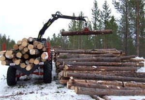 Lessing av tømmer, Pasvik i Finnmark. Foto: Helge Molvig