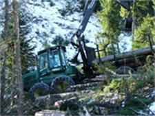 Moderne skogsdrift. Foto: Fylkesmannen i Buskerud