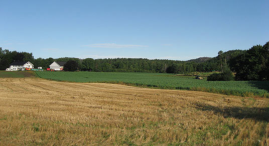 Fylkesnytt: Møglestu i Lillesand