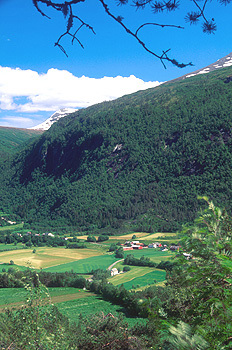 Eresfjord. Foto: Jørn Kjersheim