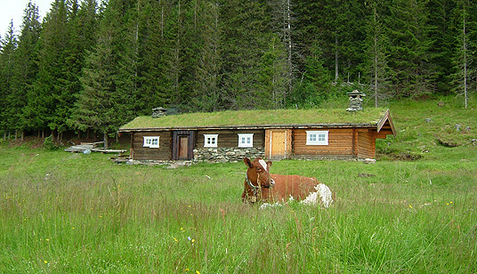 Seter på Høylandet. Foto: Erik Stenvik