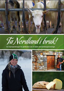 Brosjyre: Ta Nordland i bruk!