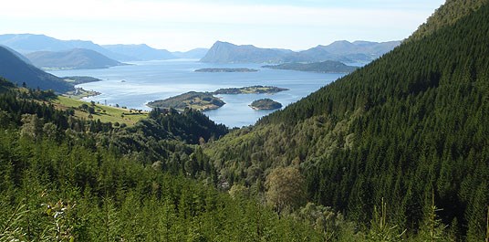 Ørstaskogen Liadal, Halsemarkane og Raudøya