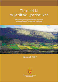 Veileder