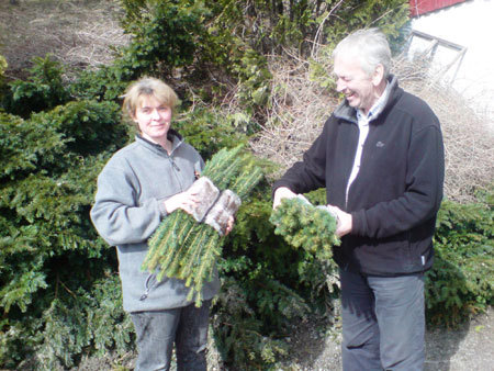 Plantesalt. Foto: Roar Flatland