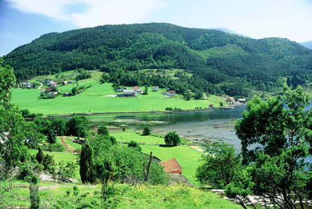 Ryfylkeveg. Foto: Arne Jostein Lyshol