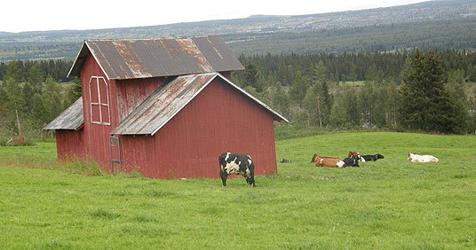 Seterlandskap på Golsfjellet