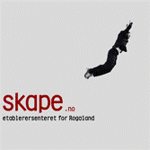 Skape.no logo