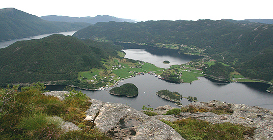 Skog i Rogaland.