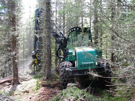 Maskinell tynning av skog. Foto: FMLA i Sør-Trøndelag