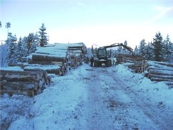 Skogbruk vinterstid. Foto: Allskog BA