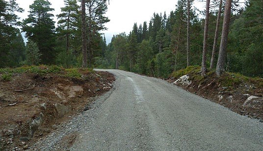Skogsveg på Vangsnes